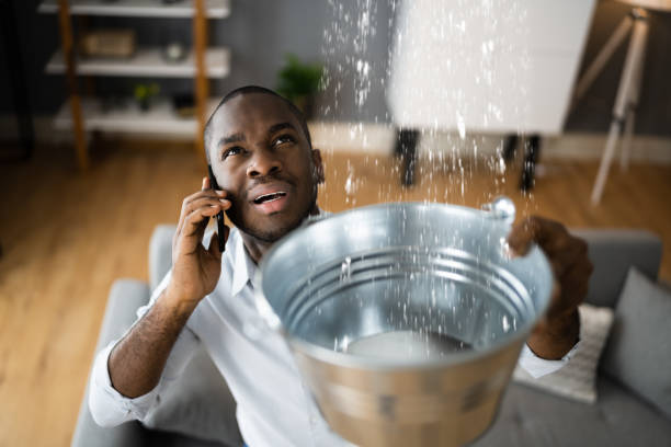 Best Commercial water damage restoration  in La Crosse, WI