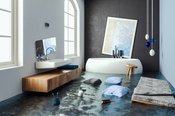 Best Water damage restoration process  in La Crosse, WI