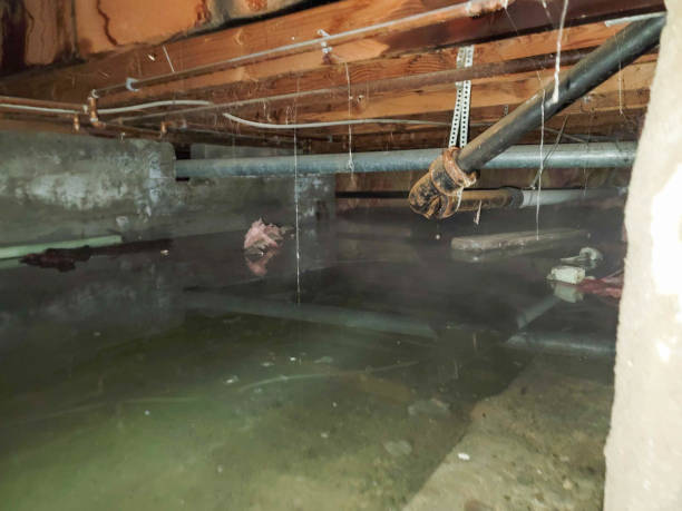 Best 24-hour water damage restoration  in La Crosse, WI