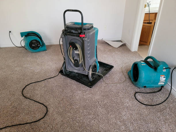 Best Water damage restoration mold remediation  in La Crosse, WI