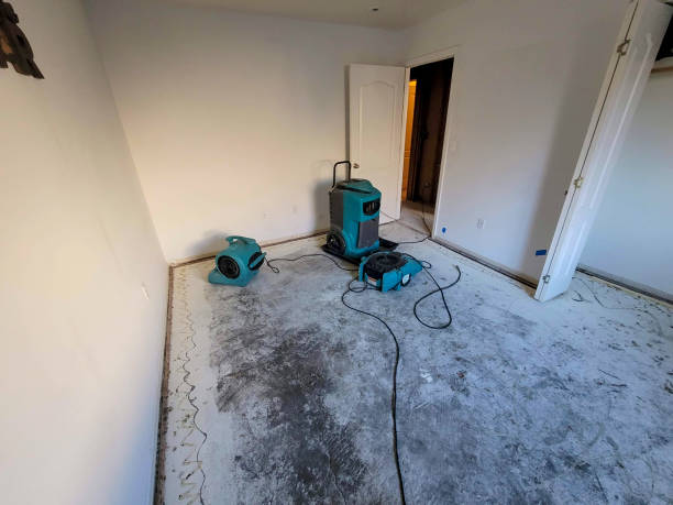 Best Local water damage restoration  in La Crosse, WI