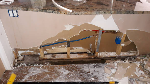 Best Flood damage cleanup  in La Crosse, WI
