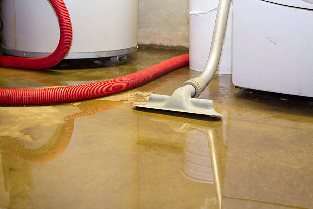 Best Carpet water damage restoration  in La Crosse, WI