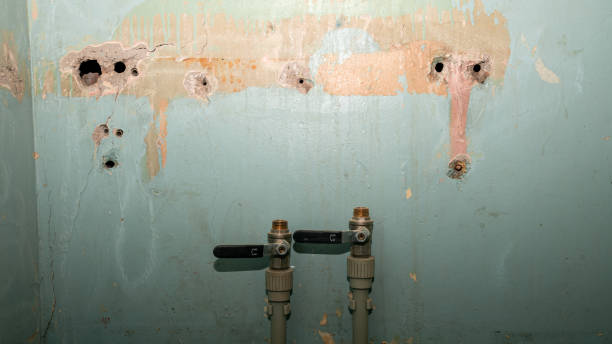 Trusted La Crosse, WI Water damage restoration Experts