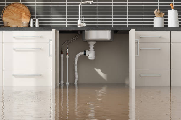 Best Residential water damage restoration  in La Crosse, WI