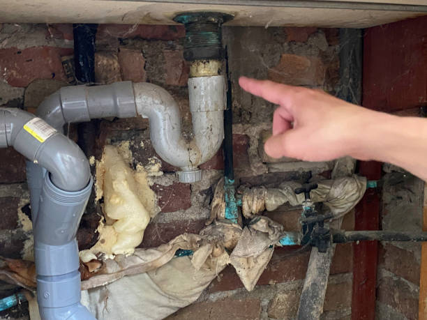 Best Fire Damage Restoration  in La Crosse, WI