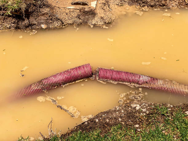 Water damage restoration mold remediation in La Crosse, WI