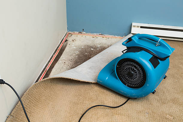 Best Water damage cleanup near me  in La Crosse, WI